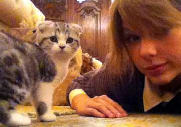 taylor swift obsessed with cats