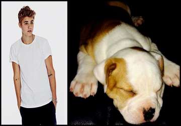 justin bieber gives his puppy an indian name karma