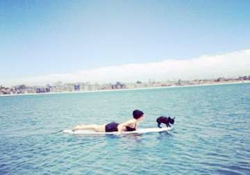 lady gaga takes dog on sea surfing