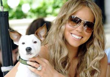 mariah carey spends 115 000 pounds for pet dogs private holiday