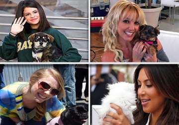 pets that celebs love to own