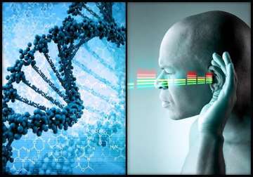 dna therapy boon for people with hearing loss see pics