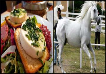 hidden ingredient in european foods a horse