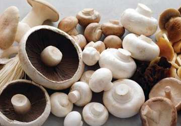 explore the healthy benefits of mushrooms