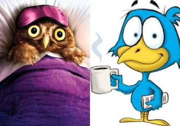 why it s better to be a night owl than being an early bird