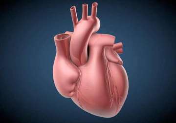micropacemaker to treat foetus with heart block