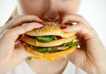 high fat diet may be harmful for brain