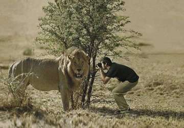 crazy or committed what will you call these wildlife photographers