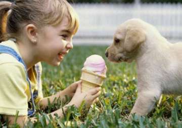 summer tips know how to keep your beloved pets cool