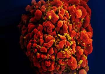 anti hiv antibody shows promise in first human trial