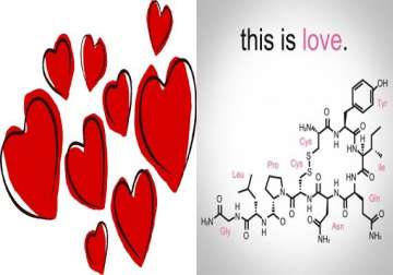 how love hormone oxytocin regulates sexual behaviour