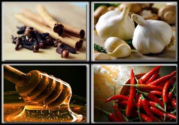 indian foods that helps to lose weight