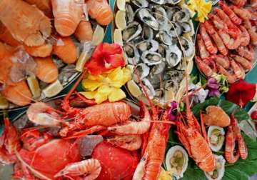 seafood is latest craze of kolkata foodies