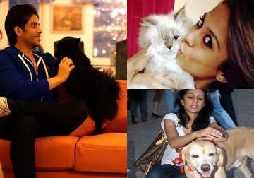 tusshar kapoor sana saeed mahi gill bollywood celebs and their pet dog s stories see pics