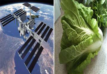 vegetables grown in space are not harmful russian scientists