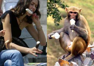 want to live longer then eat like a monkey see pics