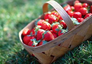 summer special savour strawberries dishes see pics