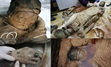 amazing discovery 700 year old mummy discovered in china