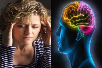 bad memories from the brain can be erased claim dutch scientists