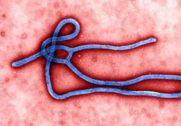 briton in sierra leone contracts ebola virus