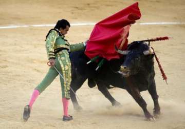 bullfights back on spanish public tv after ban