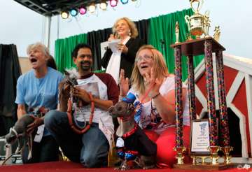 contest held for world s ugliest dog in california