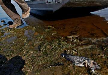 foul smell engulfs southern california