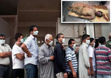 hundreds queue up to watch gaddafi son s bodies in meat locker