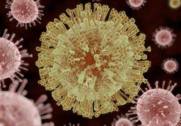 zika virus may be transmitted through saliva urine
