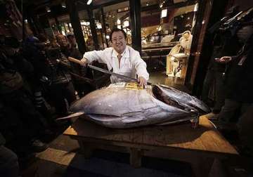 japan s 4.5 million yen tuna fish