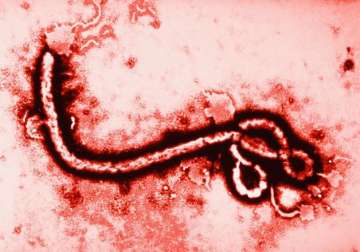 west africa to lose 3.6 bn annually owing to ebola un