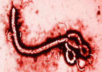 ebola more deadly for young children study