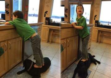 pic of sarah palin s son standing on dog draws reaction