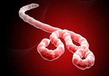 new tool predicts ebola infection risk