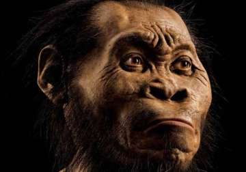 homo naledi scientists discover new human species in south african cave