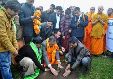 india refutes reports about bodhi tree sapling plantation row