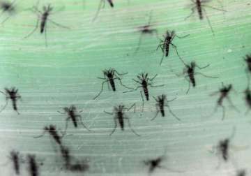 first sexually transmitted zika virus case confirmed in texas