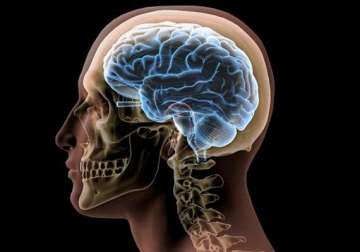 chinese woman alive despite brain s key area missing