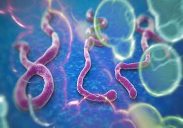 how the ebola virus got its name