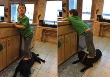 sarah palin draws flak for fb photos showing son standing on back of family dog