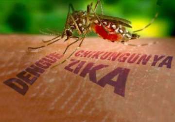 world facing zika virus threat warns who india readies testing kits