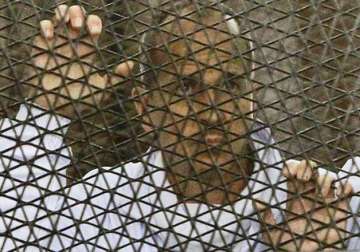 egypt releases deports jailed australian journalist