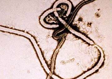 heart drug could be cure for ebola british experts