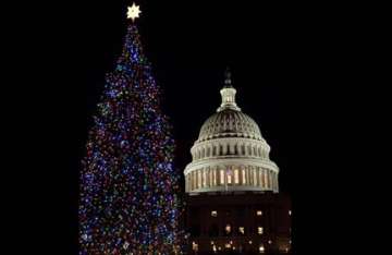 christmas tree lit on capitol hill