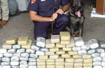 indian origin man arrested in us drug bust