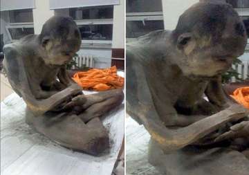 mongolia 200 year old meditating mummy still alive
