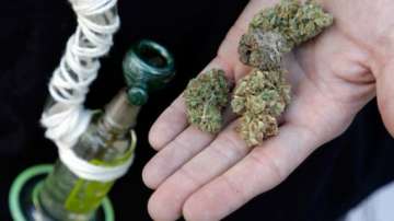 3.4 tonnes of marijuana seized in paraguay