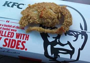customer accuses kfc of serving fried rat instead of chicken