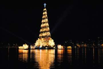 world s tallest floating christmas tree on display