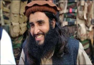 key pakistani taliban commander arrested